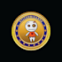 design crypto currency  bitcoin token badge meme nft technology logo