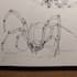 sketch or create a concept for you