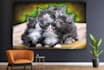 draw your pet portrait in to digital oil painting