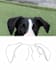 draw the pet ears in 24 hours