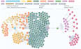 make a graph database in neo4j using cypher and in neptune