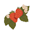 design cute, minimalist custom graphics stickers decals and sticker sheets