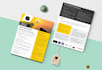 design government capability statement, one pager flyer