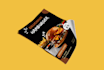 design unique flyer, brochure and menu card