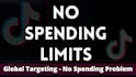 help with tiktok ads agency account