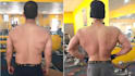 provide you a diet plan according to your required macros and a workout plan