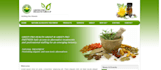 design develop professional websites in any platform