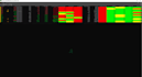 provide 1on1 coaching on options trading