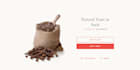 build classy shopify dropshipping store, website