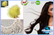 ecommerce image editing and background removal in photoshop