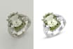 do jewelry retouch amazon product photo editing or resizing
