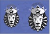 do convert your logo to vector, vector tracing, image tracing