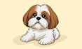 draw cute cartoon character illustrations, animal cartoon drawings