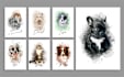 draw a watercolor pet portrait from your photo