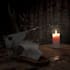 do blender tutoring, project support and theory lessons