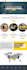 fix your website to be both responsive and SEO, aeo friendly