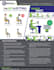 design the best creative flyer brochure leaflet poster invitaion
