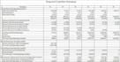 prepare a feasibility study, financial model, and business forecasting report