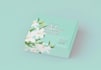 create product packaging, box design,packaging box design