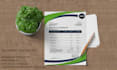 provide stunning creative invoice design templates