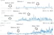 provide complete monthly SEO to get you to rank on google