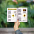 create professional bifold and trifold brochure