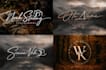 create a luxury typography logo and mini brand guide