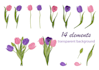 draw flowers digital illustrations in watercolour style