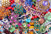 develop attractive and trendy digital prints
