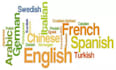 be your professional translator