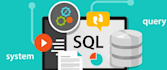 write, fix, optimize sql queries and manage database