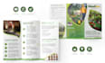 design professional trifold brochure