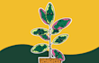 draw cute animal or plant character flat design illustration