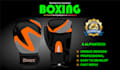 do professional boxing gloves and boxing equipment design