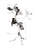 create graphically beautiful maps of any location