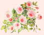 create custom watercolour floral collection
