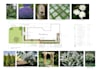 design your front yard