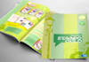 design the best professional flyers and booklets