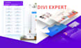be your divi and wordpress theme customizer or divi expert