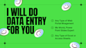 be your virtual admin personal assistant and data entry work