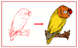 make a sketch of your animal into a vector