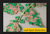 develop a custom object detection model using ml