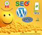 optimize shopify store rank wordpress website with monthly onpage  technical SEO