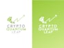 create a professional token cryptocurrency coin logo design within 24 hours