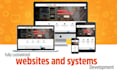 develop fully customized website and system