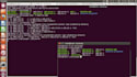 do socket programming in c and cpp