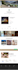design wordpress business website, portfolio and blog