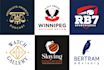 design custom professional logo