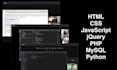 teach and be your tutor on python, HTML, CSS, javascript, PHP, sql