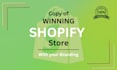 copy, clone, design and redesign your shopify store